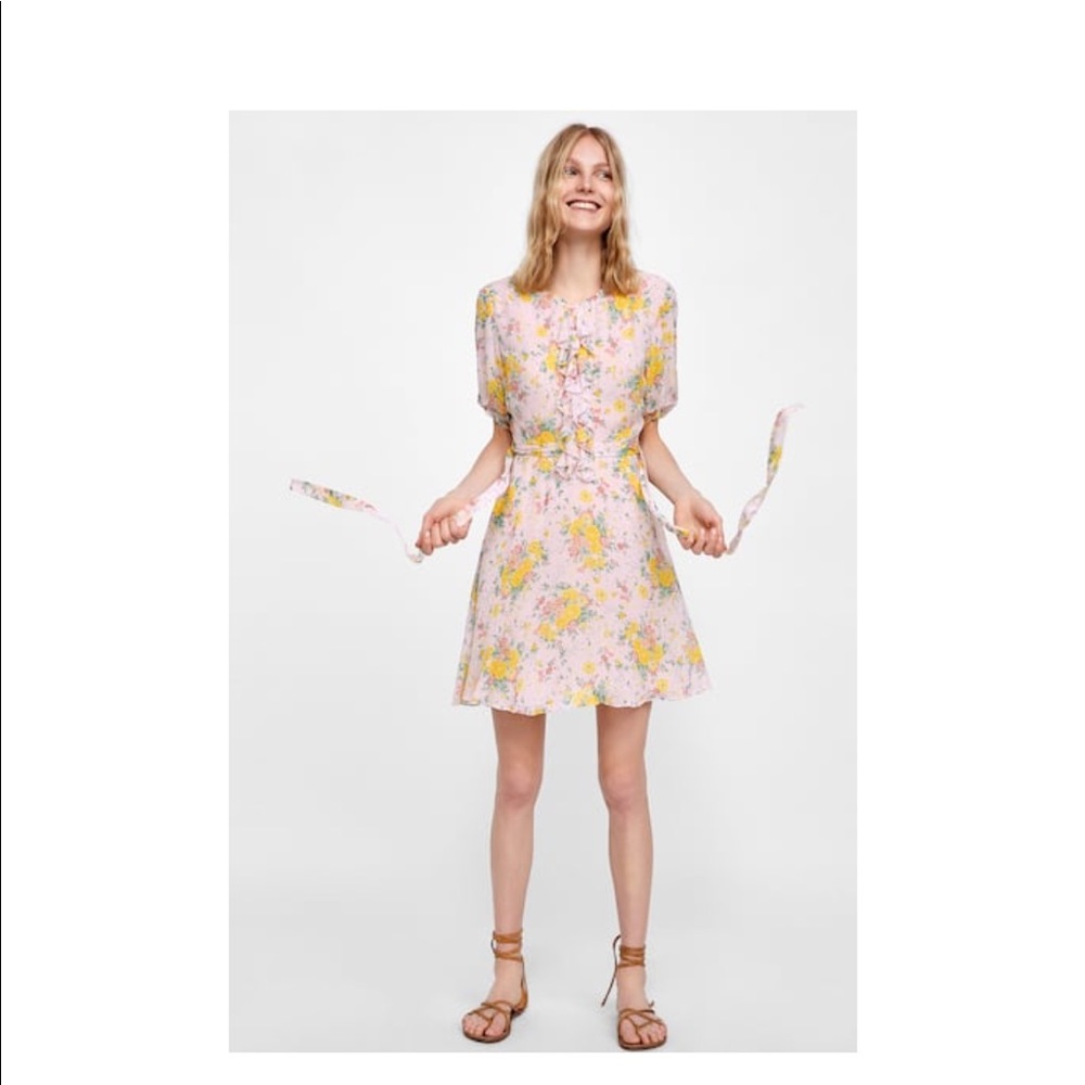 Zara dress
